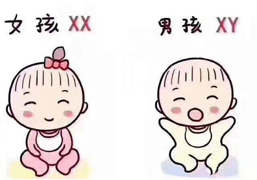 做泰国试管婴儿生or价格一样吗